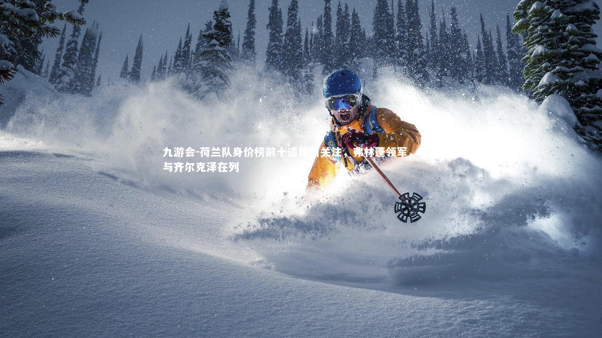 荷兰队身价榜前十遗珠引关注，弗林蓬领军，哈托与齐尔克泽在列